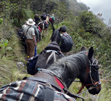 Peru-Cusco-Classic Inca Trail